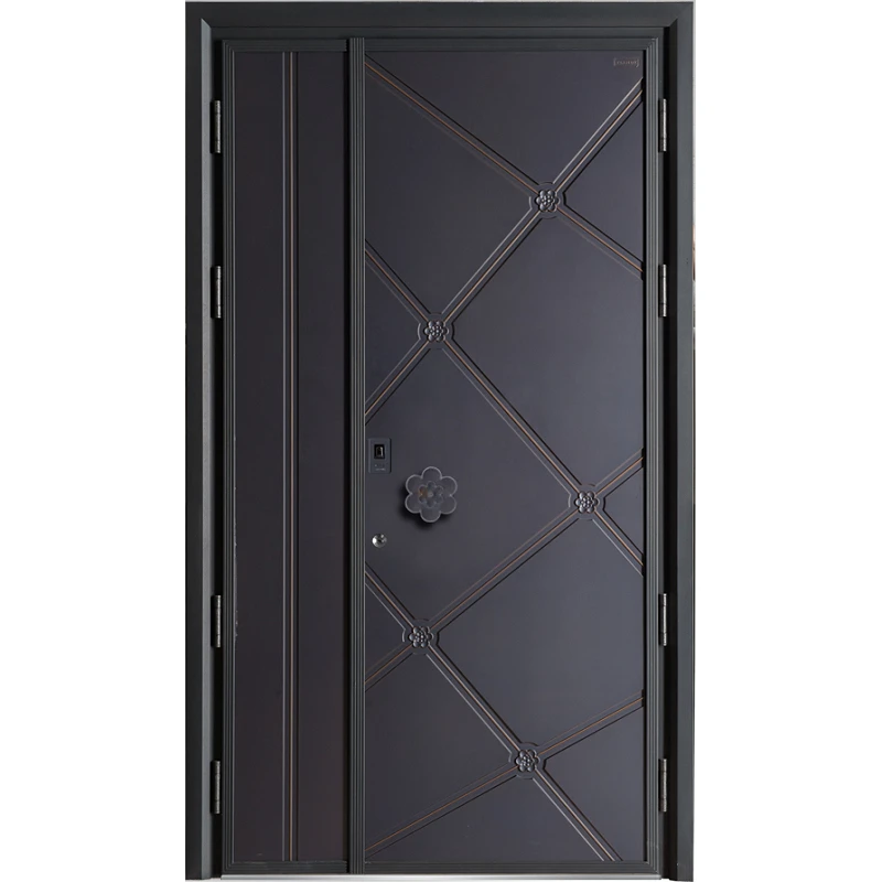 Armored House Door