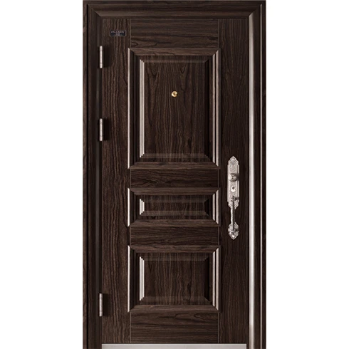 Metal Door Outside